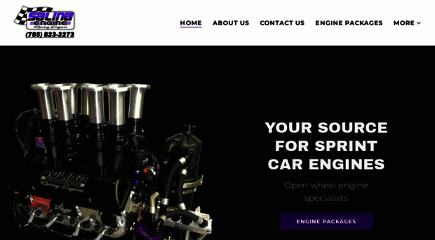 salinaengine.com