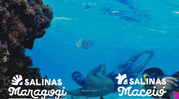 salinas.com.br