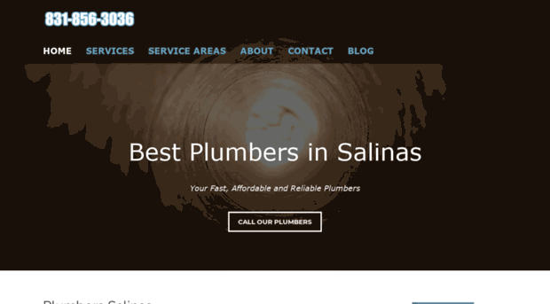 salinasplumberpros.com
