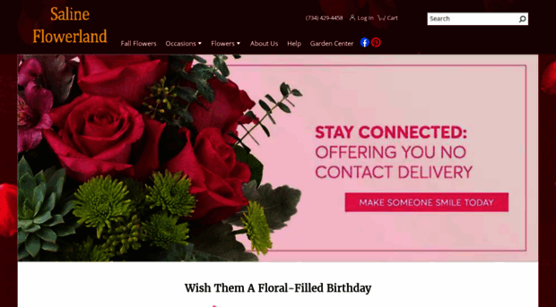 salineflowerland.com