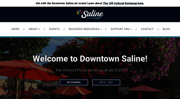 salinemainstreet.org