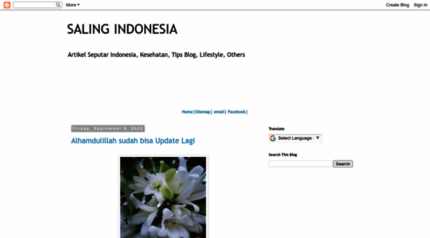 salingindonesia.blogspot.hk