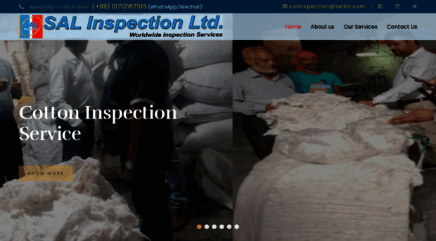 salinspection.com