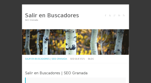 salir-en-buscadores.com