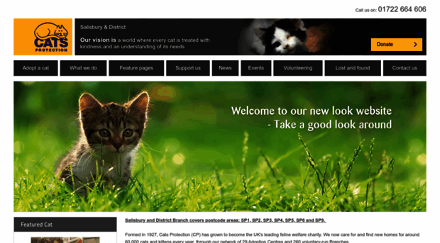 salisbury.cats.org.uk