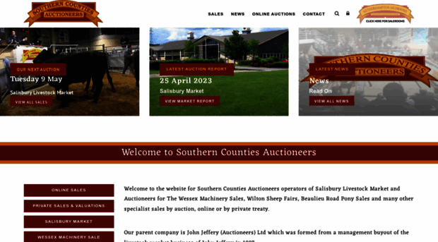 salisburyauctioncentre.co.uk