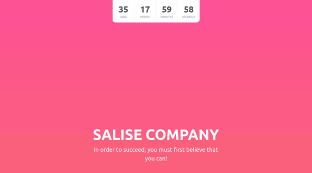 salise.com.tr