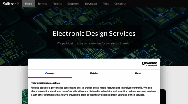 salitronic.com