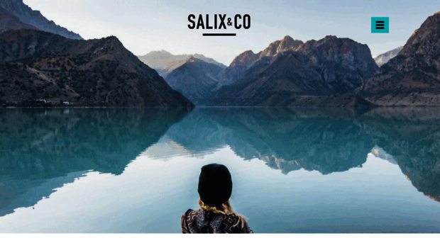 salixandco.com