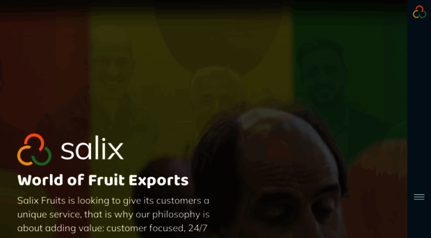 salixfruits.com