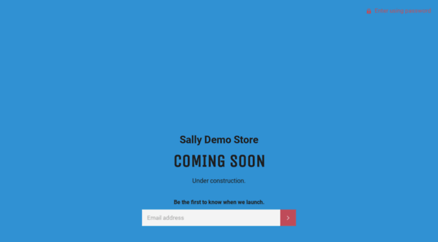 sally-demo-store.myshopify.com