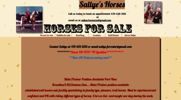 sallyeshorses.com