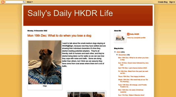 sallyhkdr.blogspot.hk