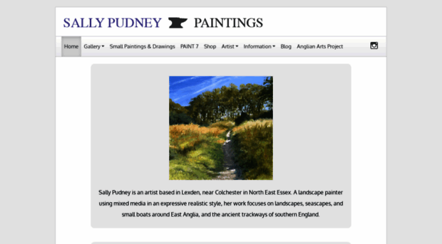 sallypudneyartist.co.uk