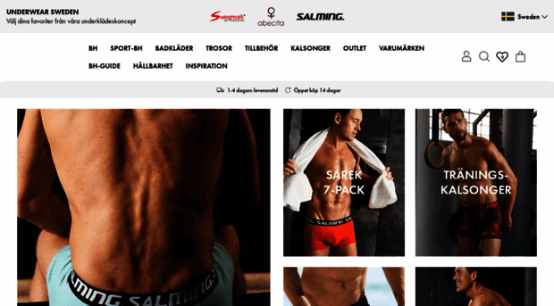 salmingunderwear.com