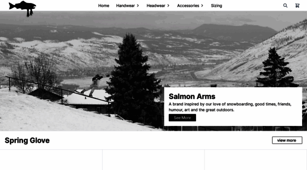 salmonarms.com