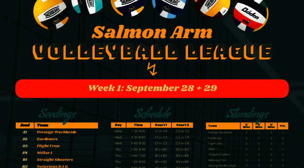 salmonarmvolleyball.com