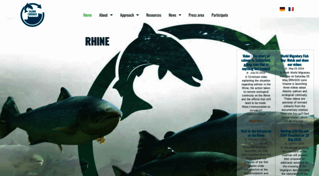 salmoncomeback.org