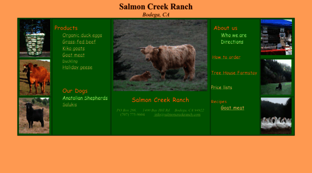 salmoncreekranch.com