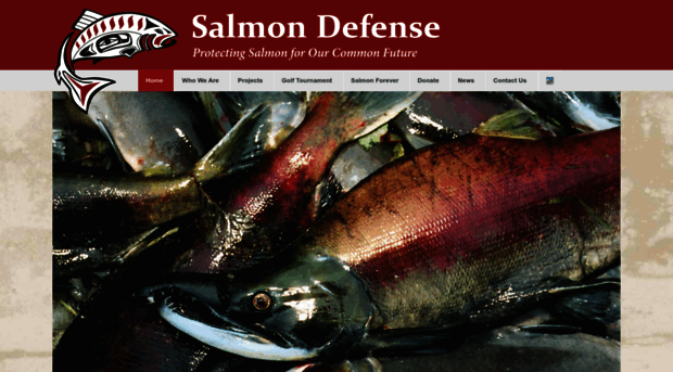 salmondefense.org