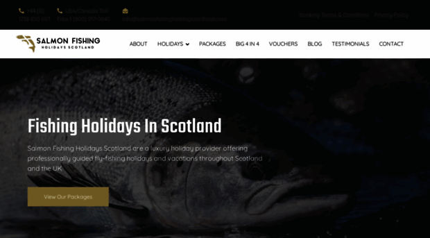 salmonfishingholidaysscotland.com