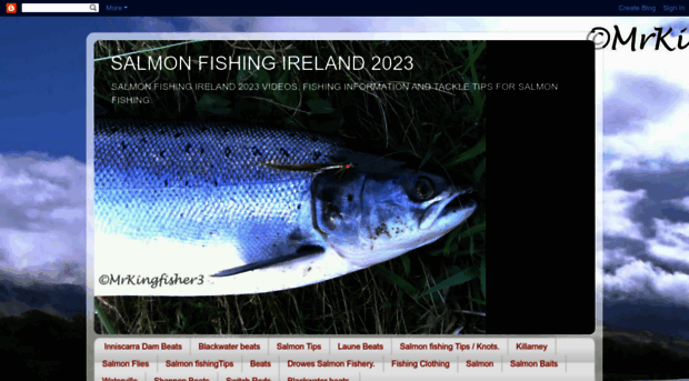 salmonfishingireland2012.blogspot.com