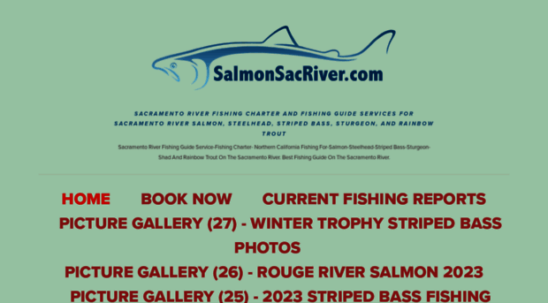 salmonsacriver.com