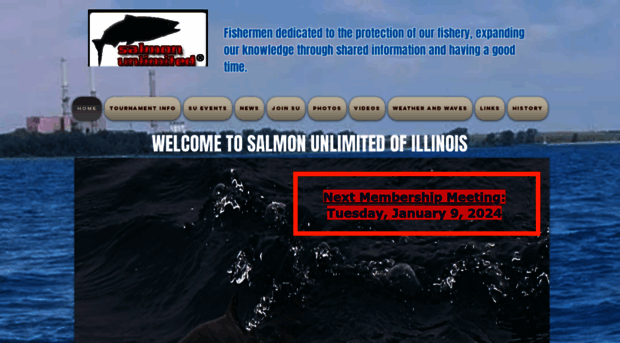 salmonunlimitedinc.com