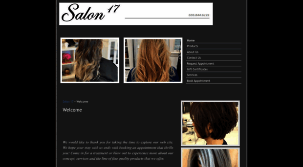 salon17.com