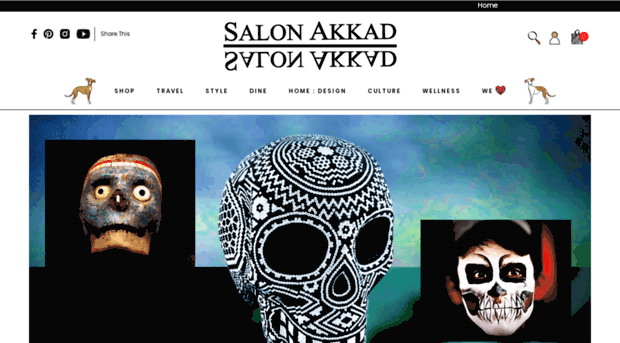 salonakkad.com