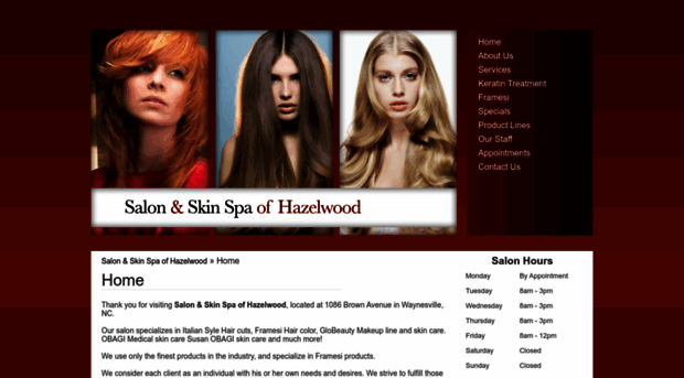 salonandskinspa.com