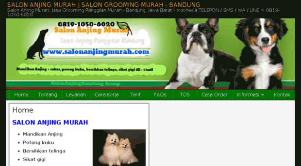 salonanjingmurah.com