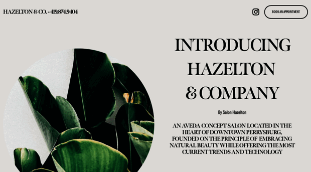 salonhazelton.com