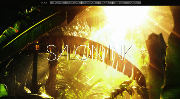 saloninkdubai.com