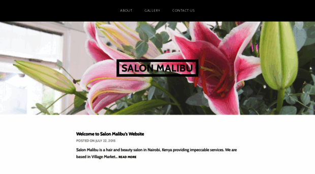 salonmalibuke.wordpress.com