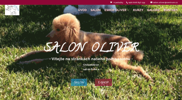 salonoliver.cz