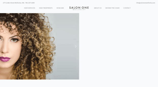 salononewellesley.com