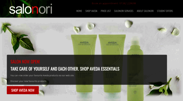 salonori.co.uk