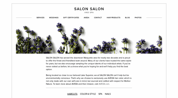 salonsalonmqt.com