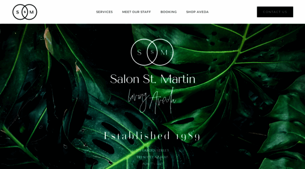 salonstmartin.com