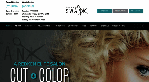 salonswankstpete.com