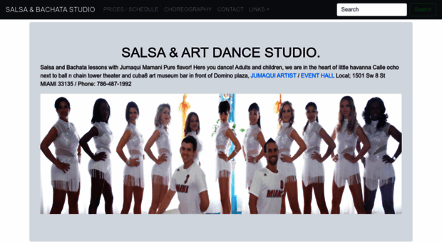 salsa-art.com