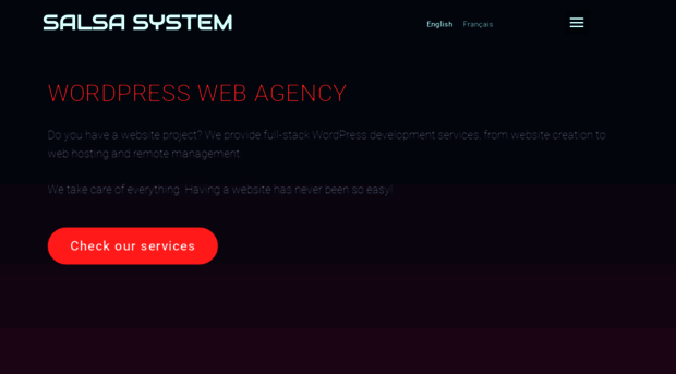 salsa-system.com