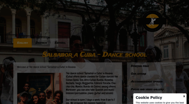 salsaborcuba.com