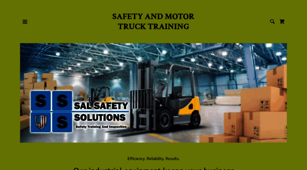 salsafetysolutions.com