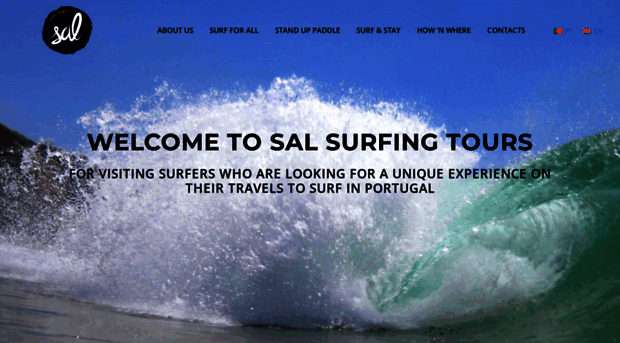 salsurfingtours.com