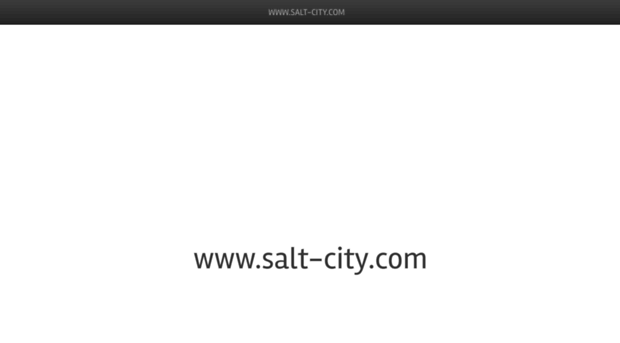 salt-city.com