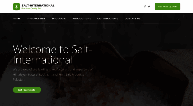 salt-international.com