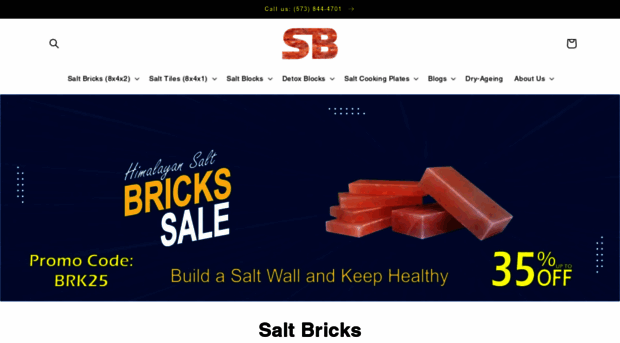 saltbricks.us