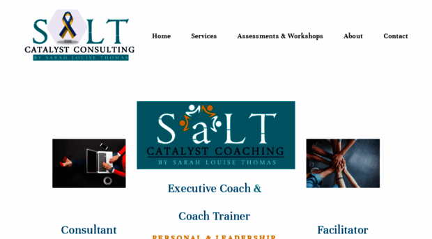 saltcatalystconsulting.com